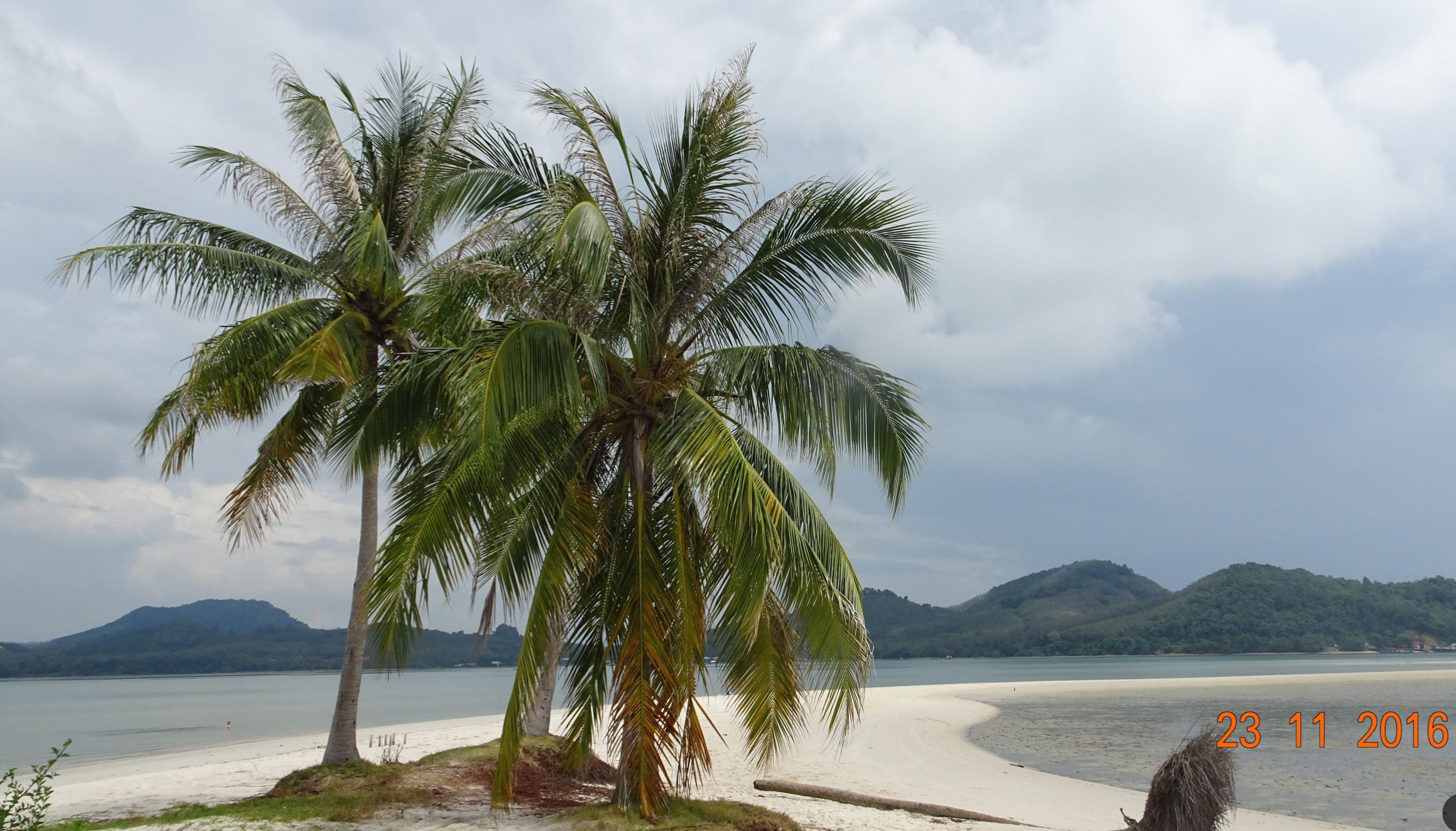 Für die Originalgrösse auf das Bild klicken